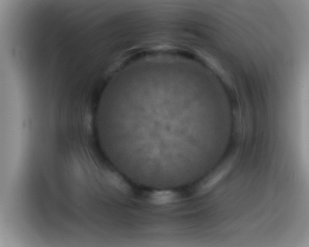 X0000114560269200910191437