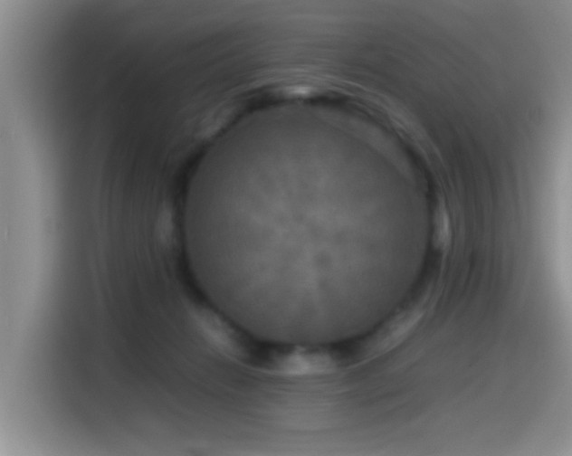 X0000114560270200910191437