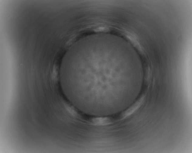 X0000114560273200910191437