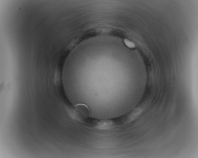 X0000114560274200910191437