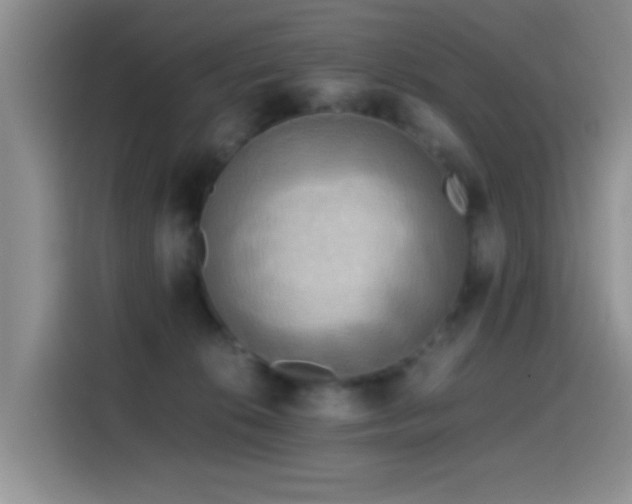 X0000114560276200910191437