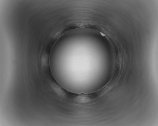 X0000114560280200910191437