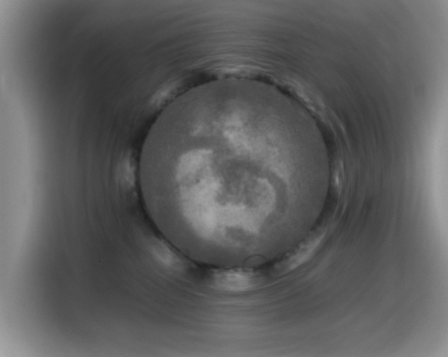 X0000114560282200910191437