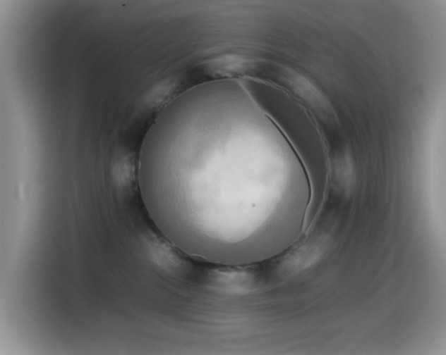 X0000114560284200910191437