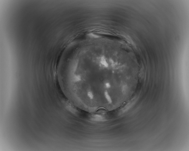 X0000114560285200910191437
