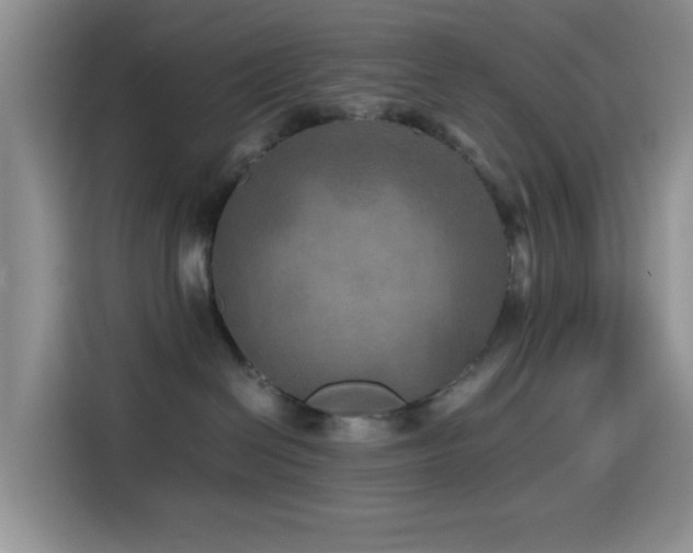 X0000114560286200910191437