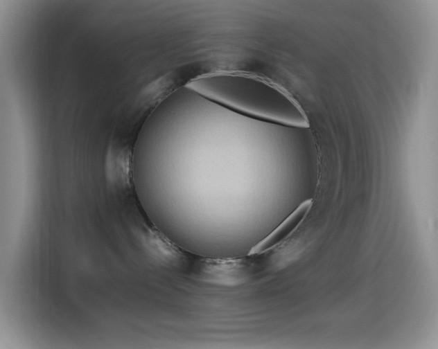 X0000114560288200910191437