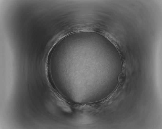X0000114560290200910191437