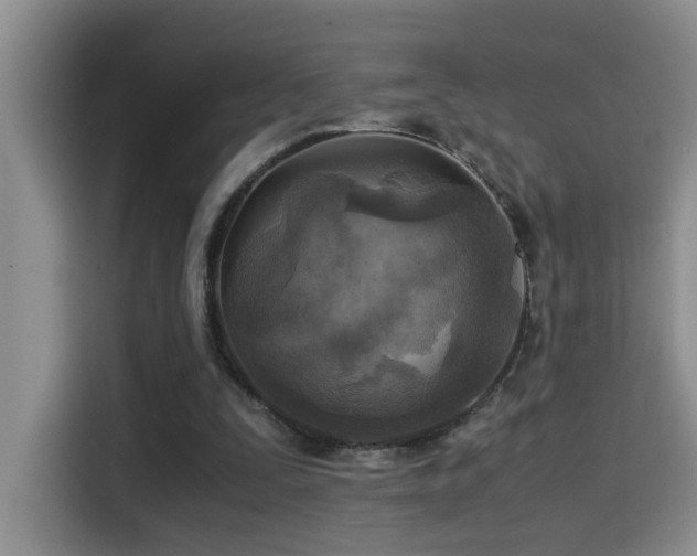 X0000114560295200910191437