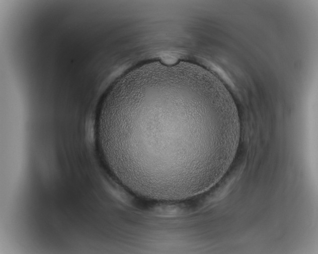 X0000114560299200910191437