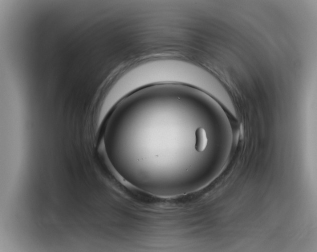 X0000114560300200910191437