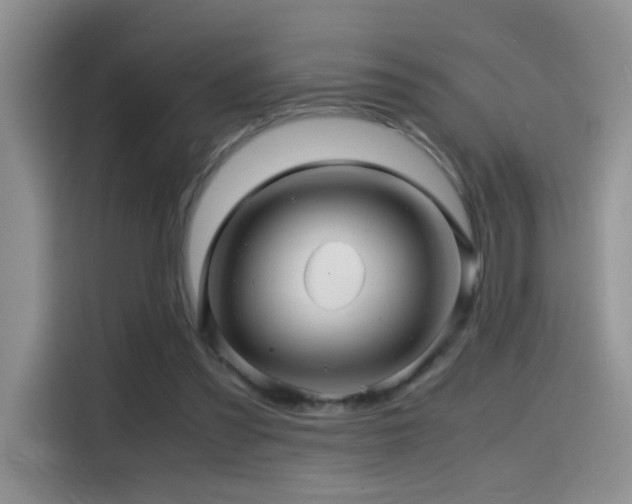 X0000114560301200910191437