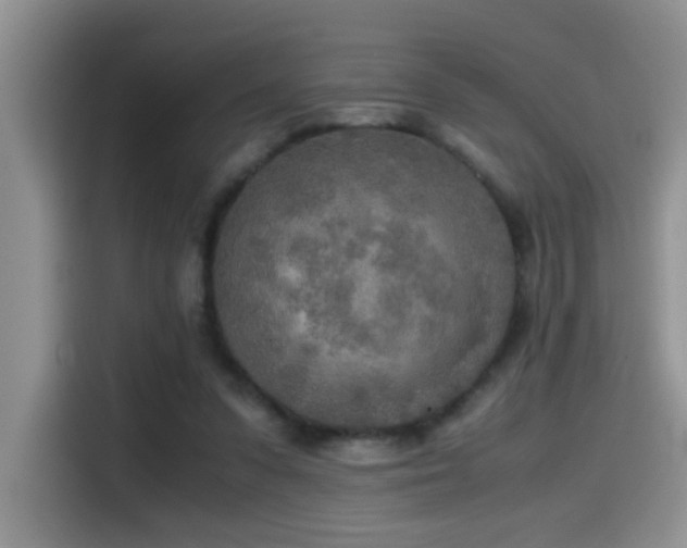 X0000114560303200910191437