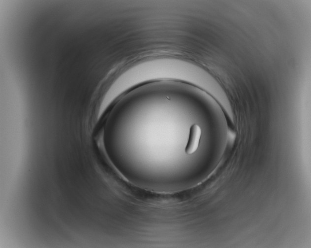 X0000114560304200910191437