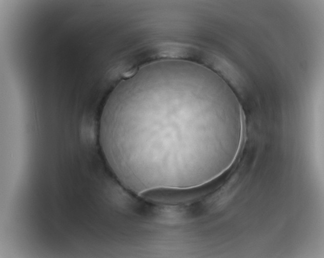 X0000114560305200910191437