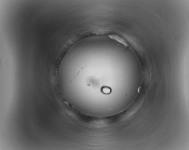 X0000114560307200910191437