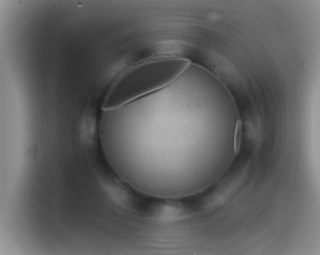X0000114560308200910191437