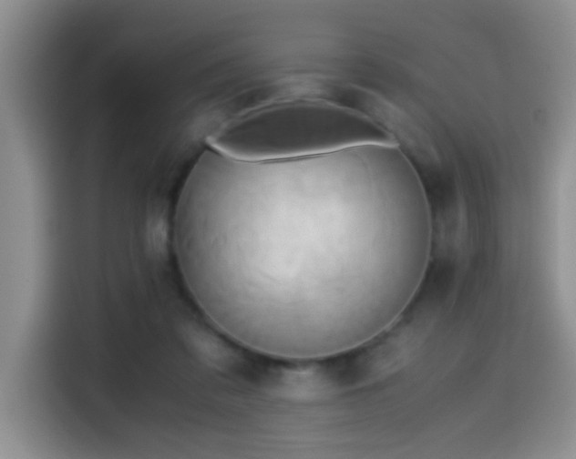 X0000114560309200910191437