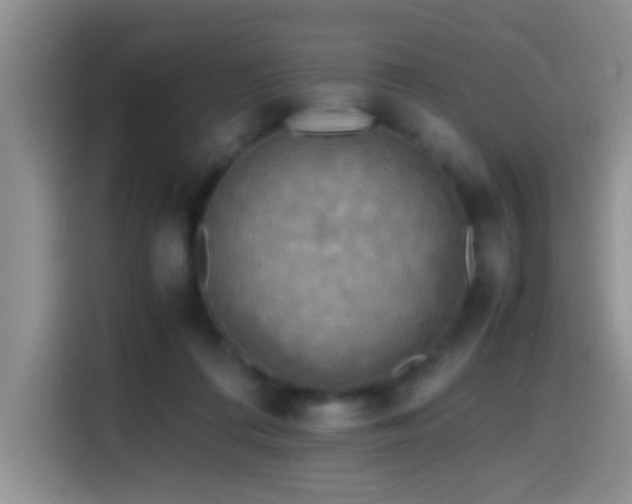 X0000114560312200910191437