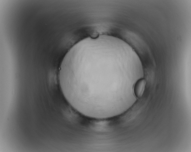 X0000114560313200910191437