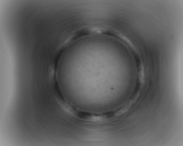 X0000114560314200910191437