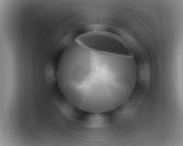 X0000114560316200910191437