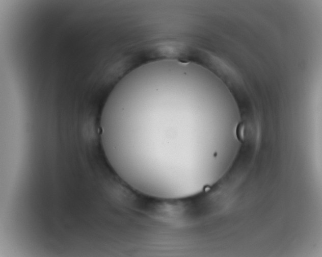 X0000114560317200910191436