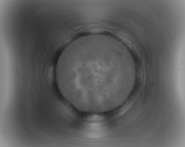 X0000114560319200910191436