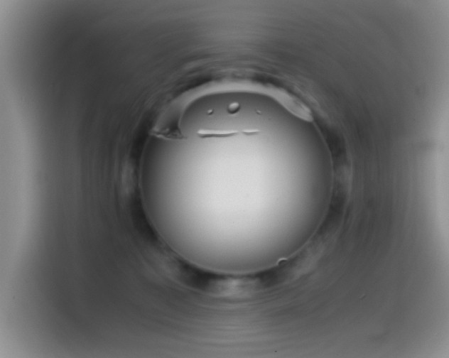 X0000114560323200910191436