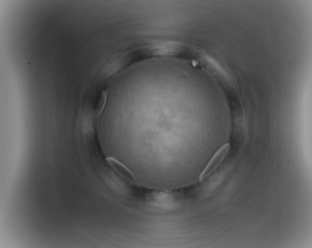 X0000114560325200910191436