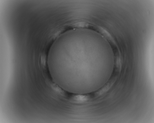 X0000114560326200910191436