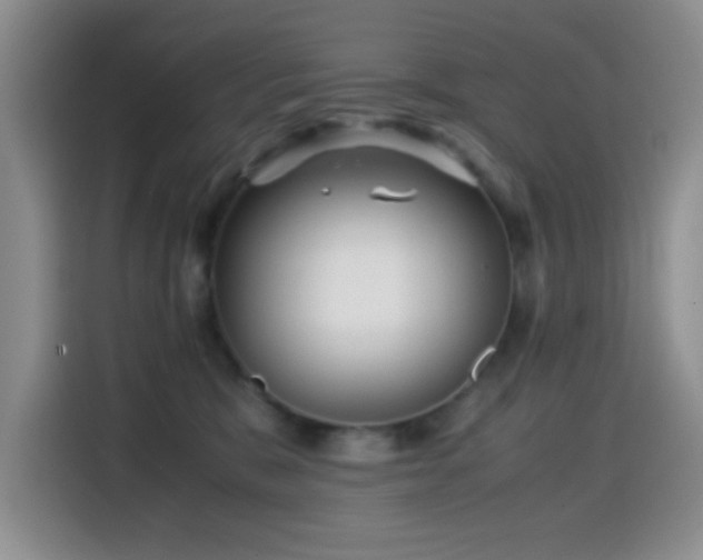 X0000114560327200910191436