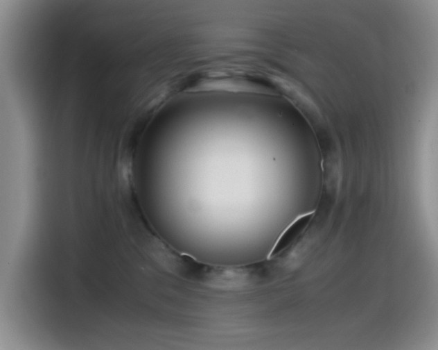 X0000114560329200910191436