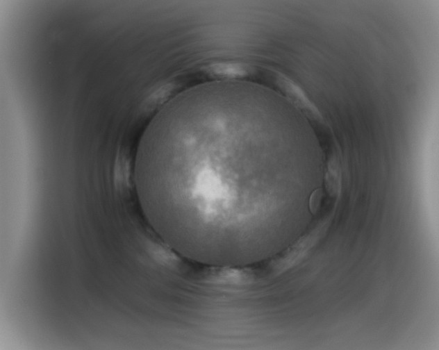 X0000114560330200910191436