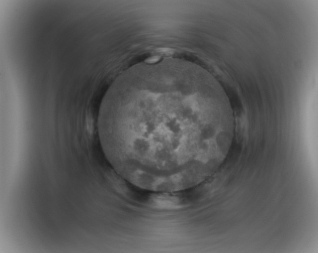 X0000114560331200910191436