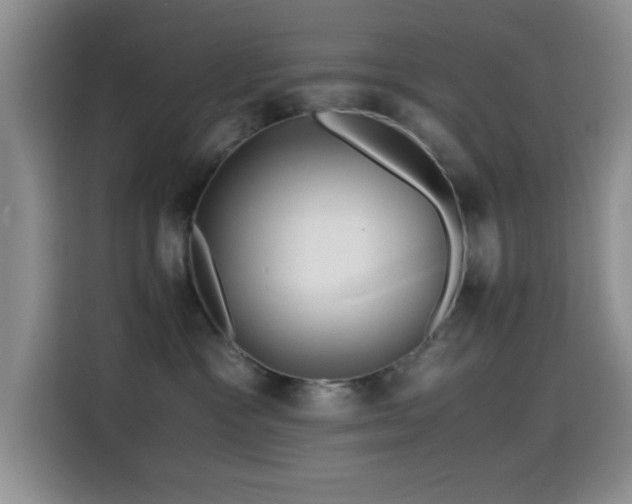 X0000114560333200910191436