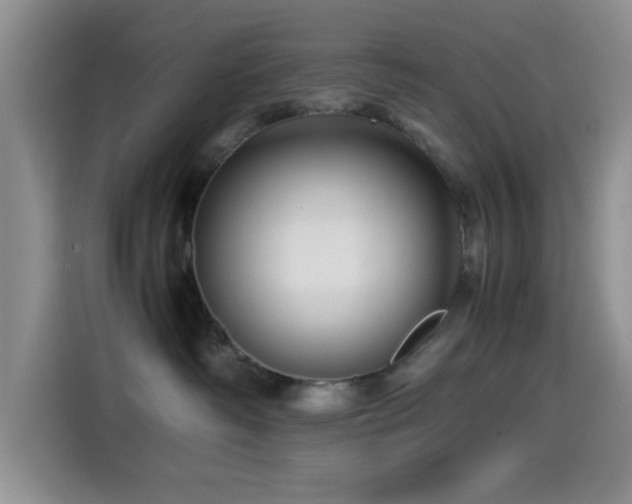 X0000114560334200910191436