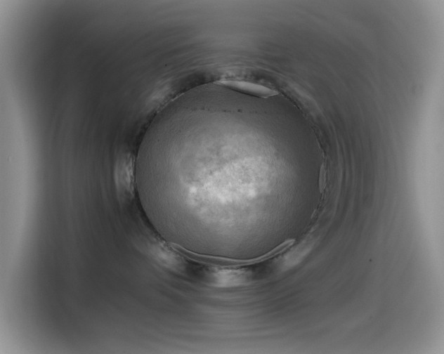 X0000114560336200910191436