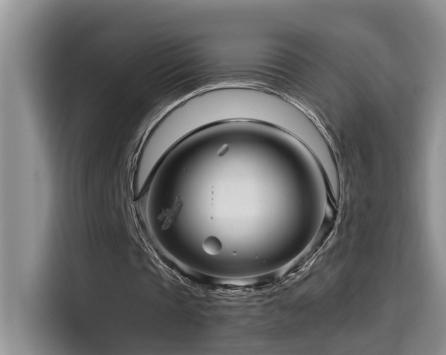 X0000114560337200910191436
