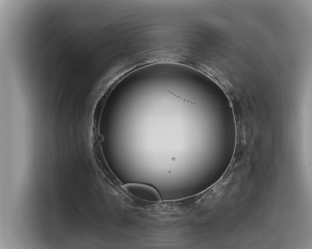 X0000114560338200910191436