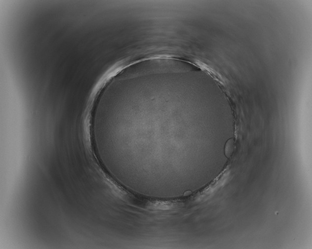 X0000114560341200910191436