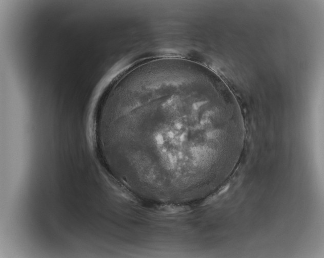 X0000114560343200910191436