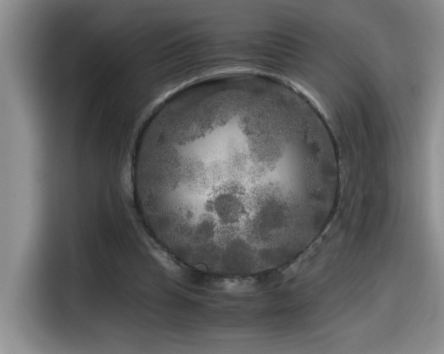 X0000114560345200910191436