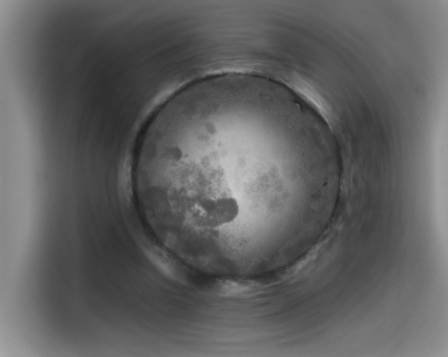 X0000114560346200910191436