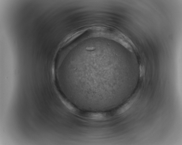 X0000114560349200910191436
