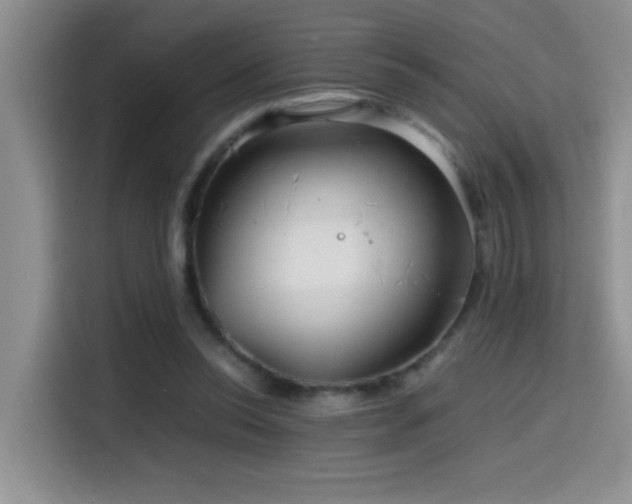 X0000114560350200910191436
