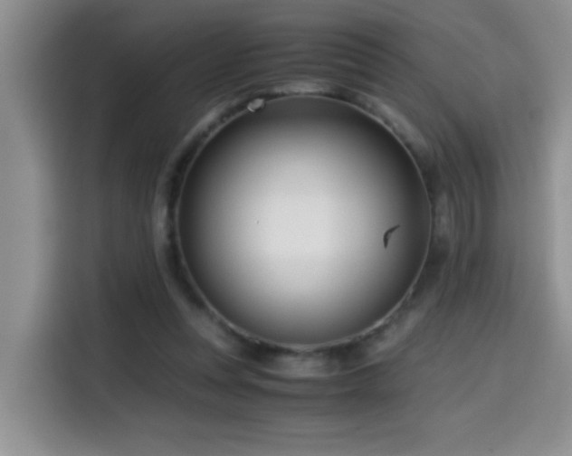 X0000114560351200910191436