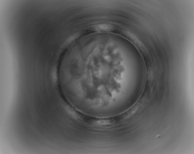 X0000114560353200910191436