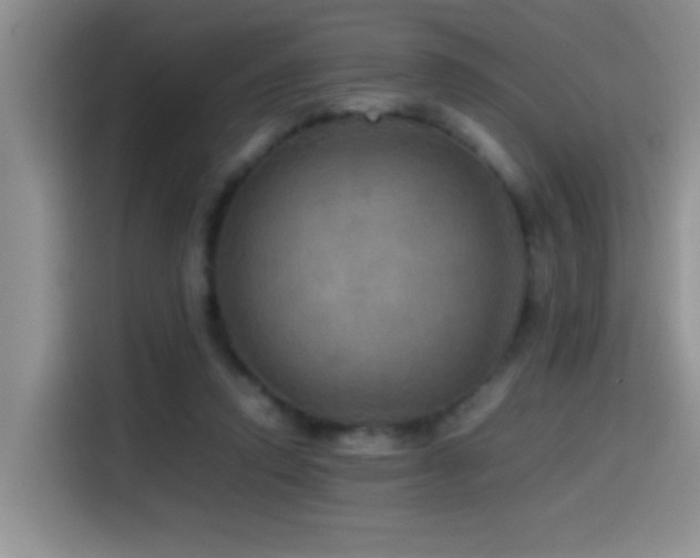 X0000114560354200910191436