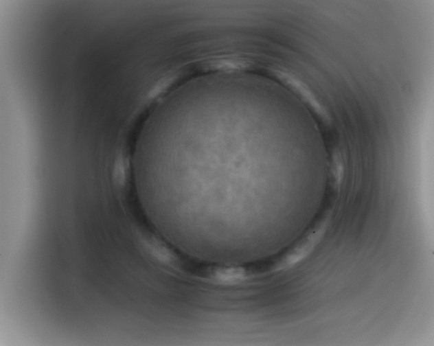 X0000114560355200910191436